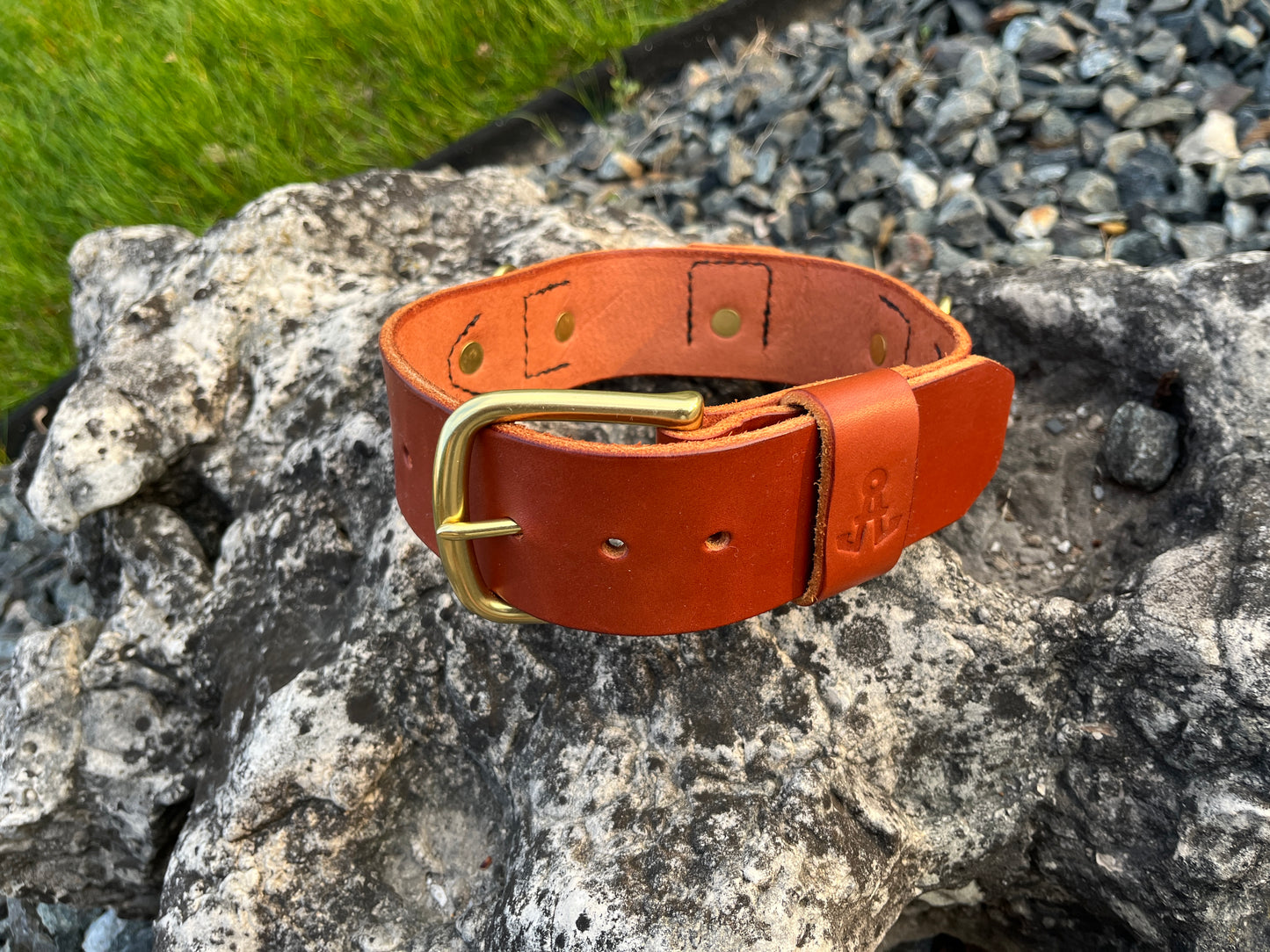 2" Dog Collar