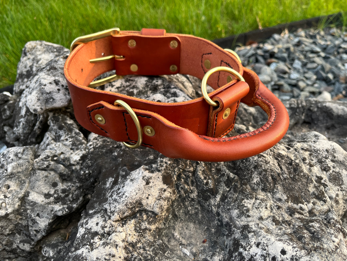 2" Dog Collar