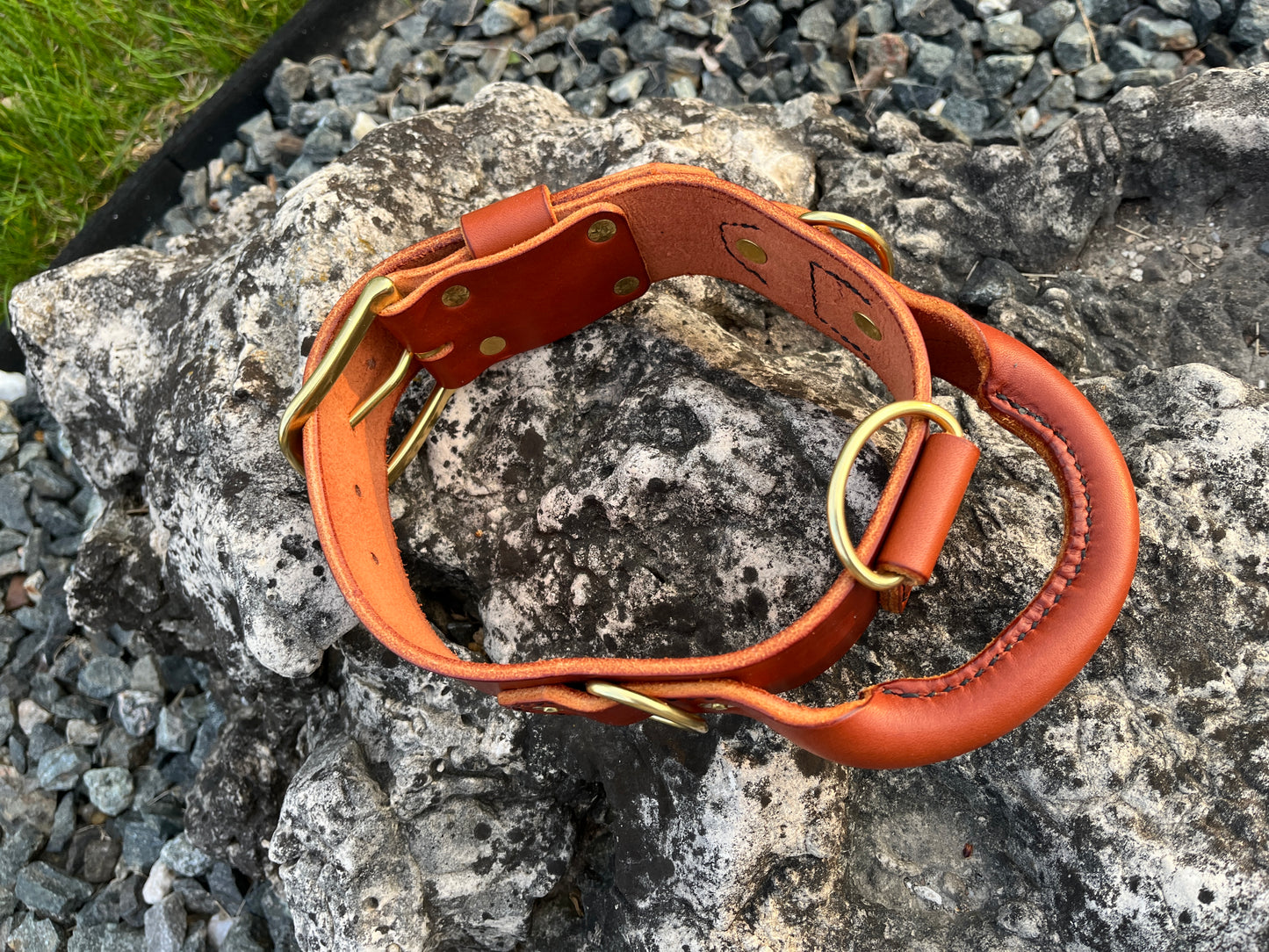 2" Dog Collar