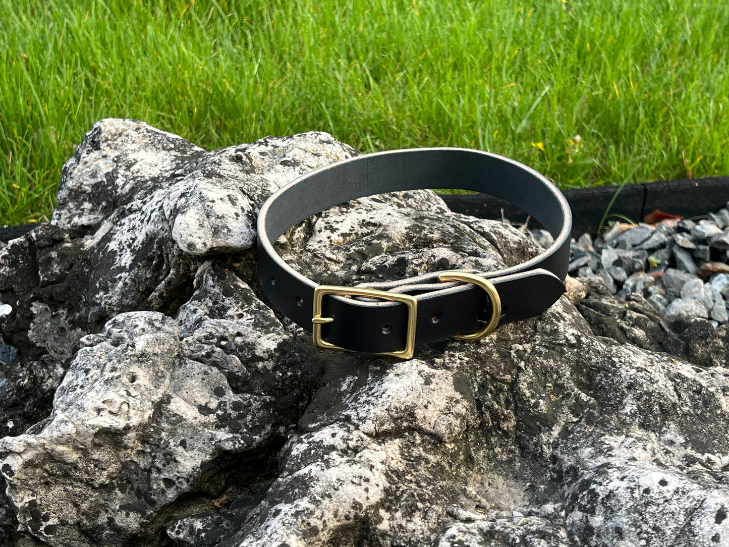 1" Dog Collar