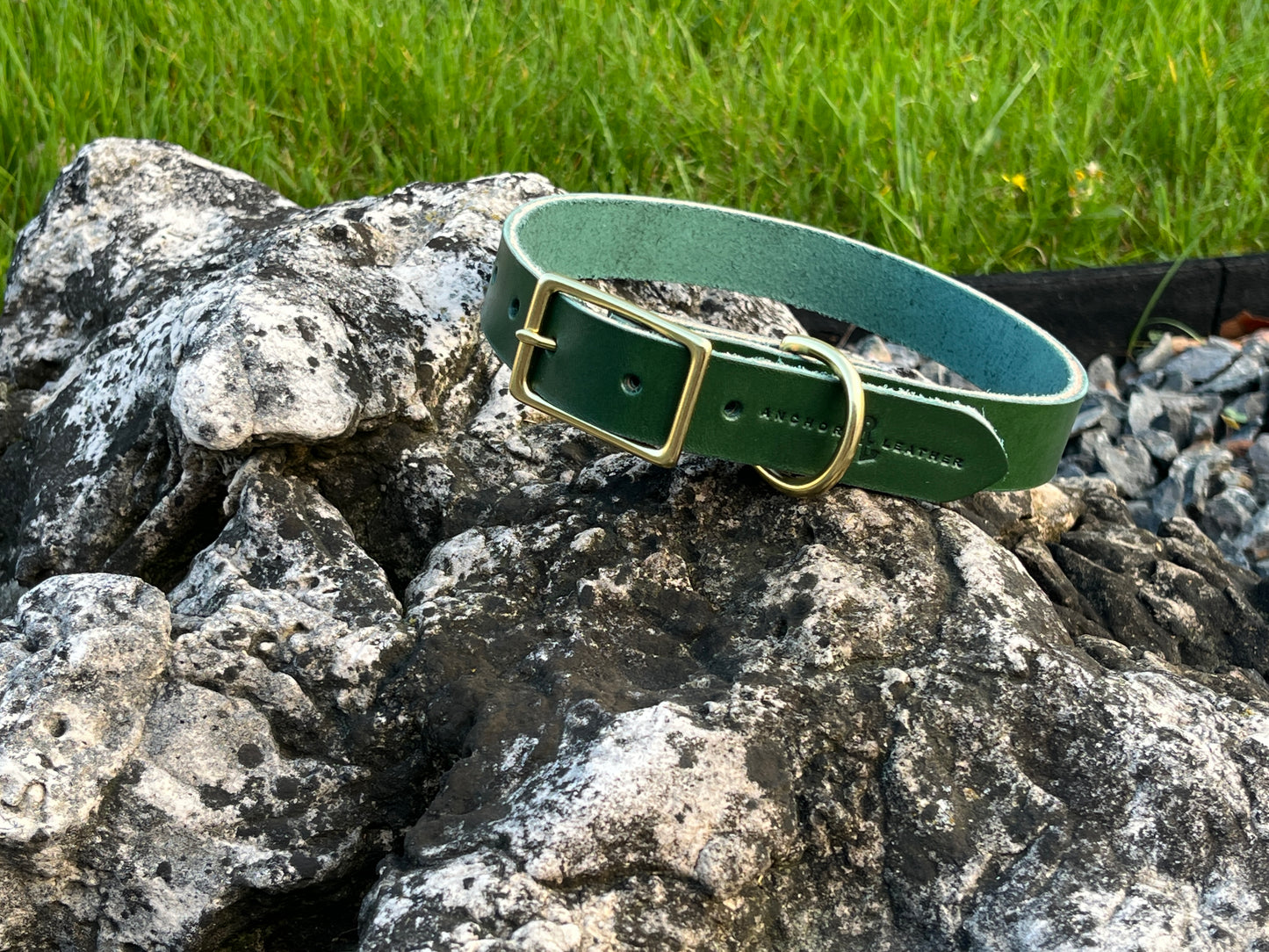 1" Dog Collar