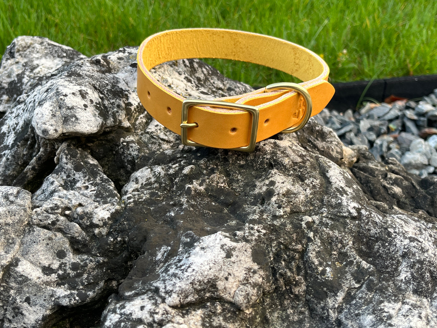 1" Dog Collar