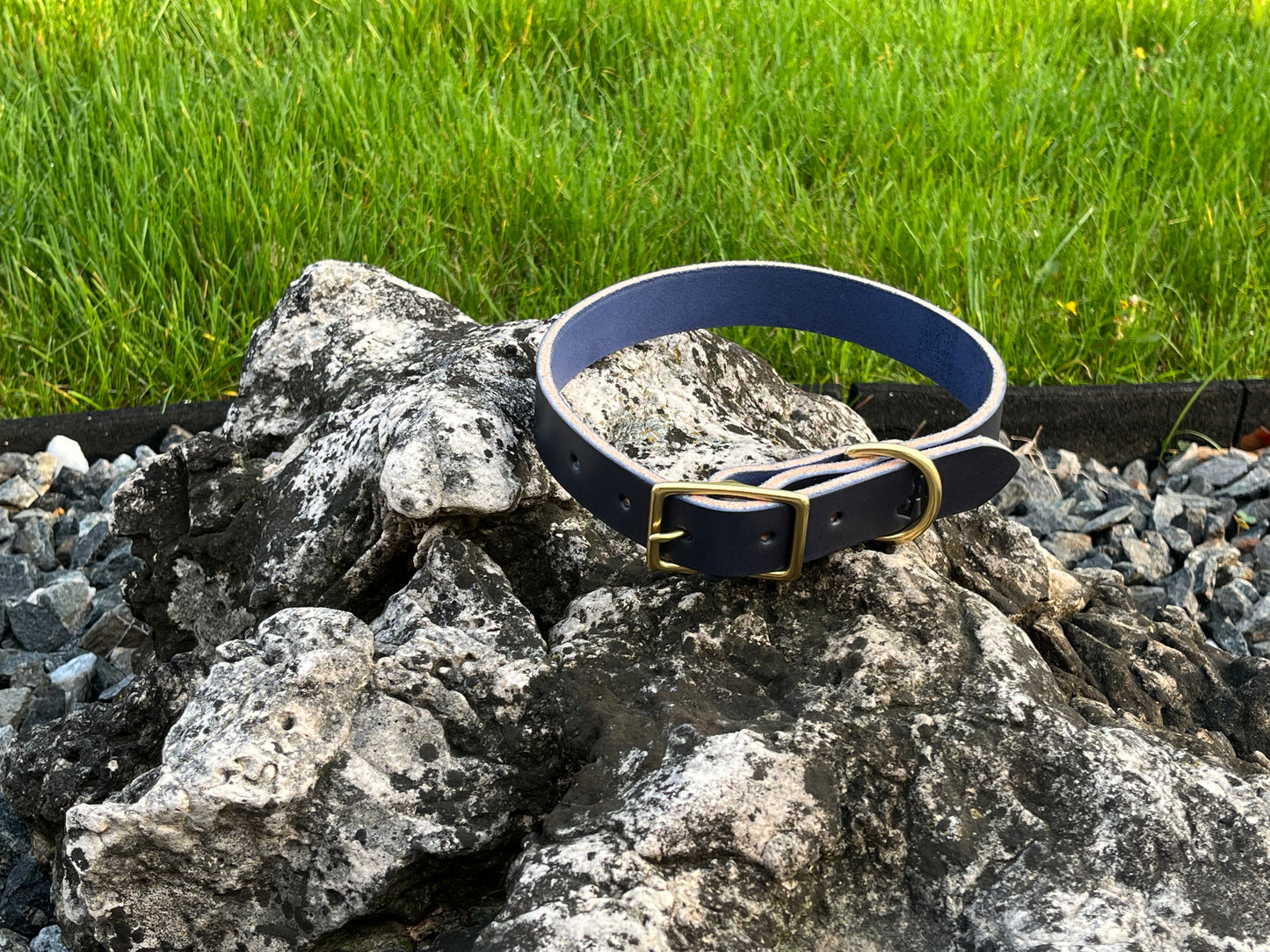 1" Dog Collar