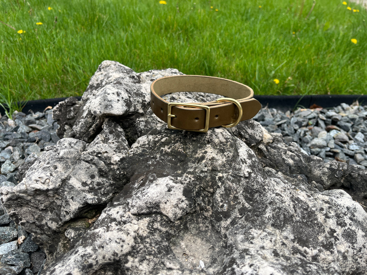 1" Dog Collar