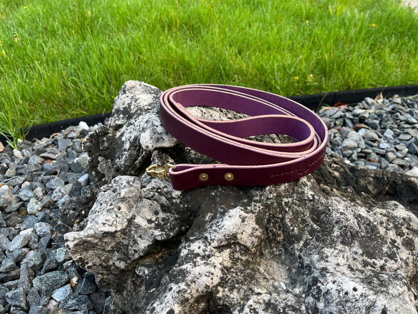 1" Dog Leash