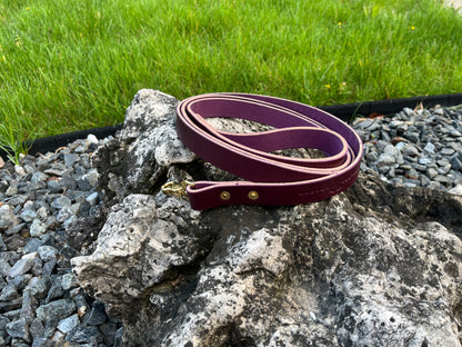 1" Dog Leash