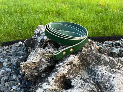1" Dog Leash