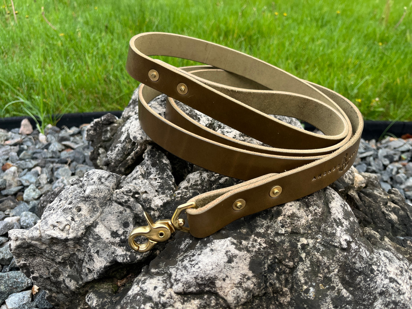 1" Dog Leash
